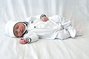 Prénom bébé Jibril