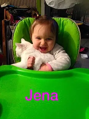 Prénom bébé Jena