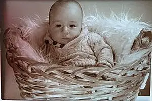 Prénom bébé Sinan