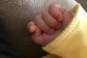 Prénom bébé Elissa