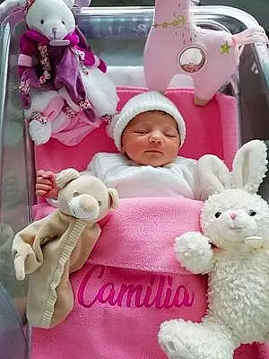Prénom bébé Camilia