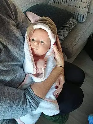 Prénom bébé Anya