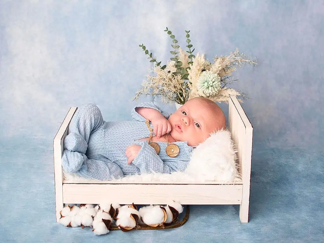Plante, Comfort, Baby, Chapi Chapo, Baby & Toddler Clothing, Bambin, Headpiece, Baby Sleeping, Twig, Headband, Costume Hat, Fashion Accessory, Art, Assis, Linens, Enfant, Musical Instrument, Still Life Photography, Portrait Photography, Hair Accessory, Personne