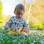 Plante, People In Nature, Nature, Leaf, Arbre, Happy, Sunlight, Herbe, Baby & Toddler Clothing, Baby, Bambin, Woody Plant, Grassland, Ciel, Morning, Groundcover, Meadow, Pelouse, Natural Landscape, Personne
