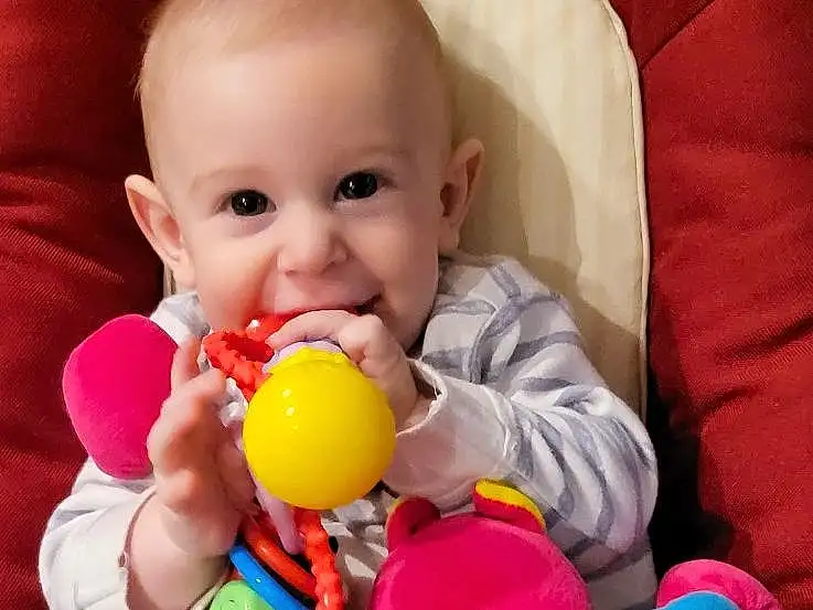 Joue, Jouets, Human Body, Baby Playing With Toys, Happy, Rose, Bambin, Fun, Baby, Enfant, Baby Products, Stuffed Toy, Comfort, Baby & Toddler Clothing, Baby Toys, Sourire, Leisure, Play, Event, Peluches, Personne