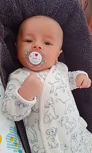 Prénom bébé Calvin