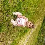 Plante, People In Nature, Happy, Herbe, Sourire, Grassland, Groundcover, Baby, Meadow, Bambin, Pelouse, Arbre, Leisure, Baby & Toddler Clothing, Landscape, Fun, Recreation, Prairie, Field, Personne