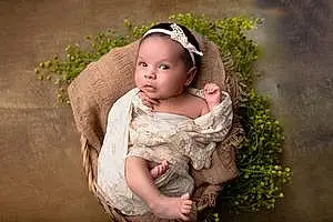 Prénom bébé Eléna