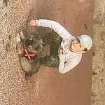 Chapi Chapo, Working Animal, Soil, Race de chien, Helmet, Adventure, Recreation, Terrestrial Animal, Concrete, Fun, Queue, Poil, Landscape, Personne, Joy, Headwear