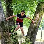 Plante, Shorts, Arbre, People In Nature, Thigh, Happy, Leisure, Trunk, Competition Event, Herbe, Fun, Recreation, Sports, Running, Balance, Knee, T-shirt, ForÃªt, Competition, Personne, Joy