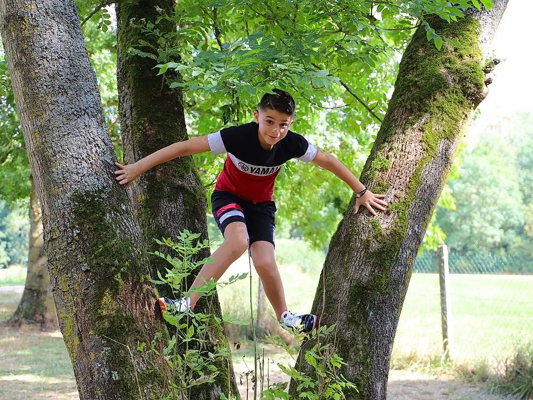 Plante, Shorts, Arbre, People In Nature, Thigh, Happy, Leisure, Trunk, Competition Event, Herbe, Fun, Recreation, Sports, Running, Balance, Knee, T-shirt, ForÃªt, Competition, Personne, Joy