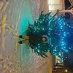 Eau, Plante, Ciel, Fenêtre, Azure, Christmas Tree, Street Light, Arbre, Christmas Ornament, Electricity, Christmas Decoration, Ornament, Fun, Glass, Holiday, Space, Event, Noël, Electric Blue, Art, Personne, Headwear