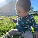 Peau, Ciel, Coiffure, Plante, Photograph, Facial Expression, Light, People In Nature, Herbe, Baby & Toddler Clothing, Sleeve, Debout, Happy, Sunlight, Bambin, Summer, Arbre, Meadow, Leisure, Thigh, Personne