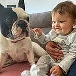Head, Peau, Chien, Sourire, Facial Expression, Comfort, Race de chien, Carnivore, Working Animal, Chien de compagnie, Faon, Baby & Toddler Clothing, Bambin, Happy, Museau, Boston Terrier, Baby, Toy Dog, Couch, Personne