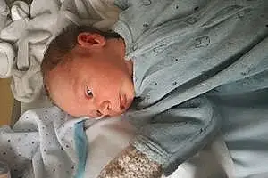 Prénom bébé Romain