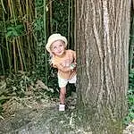 Plante, People In Nature, Chapi Chapo, Bois, Sun Hat, Flash Photography, Herbe, Faon, Terrestrial Plant, Bambin, Baby & Toddler Clothing, Trunk, Arbre, ForÃªt, Baby, Human Leg, Thigh, Woodland, Personne, Joy, Headwear