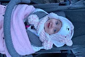 Prénom bébé Amalya