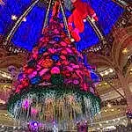 Purple, Christmas Tree, Light, World, Christmas Decoration, Rose, Magenta, Woody Plant, Midnight, Holiday, Decoration, Noël, Symmetry, Event, Electricity, Metropolis, Christmas Lights, Ornament, Tradition, Plante