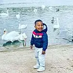 Eau, Sourire, Bird, Yeux, Beak, Lake, Happy, Ducks, Geese And Swans, Baby & Toddler Clothing, Waterfowl, Bambin, Jacket, Leisure, Recreation, Fun, Voyages, Hiver, Feather, Duck, Personne, Joy