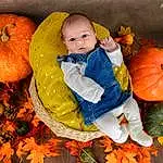 Pumpkin, Plante, Yeux, Facial Expression, Green, Winter Squash, People In Nature, Calabaza, Leaf, Cucurbita, Orange, Human Body, Natural Foods, Squash, Herbe, Happy, Gourd, Baby & Toddler Clothing, Vegetable, Personne