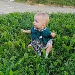Plante, People In Nature, Baby & Toddler Clothing, Terrestrial Plant, Herbe, Bambin, Fleur, T-shirt, Groundcover, Baby, Meadow, Shrub, Pelouse, Grassland, Flowering Plant, Agriculture, Garden, Prairie, Enfant, Personne