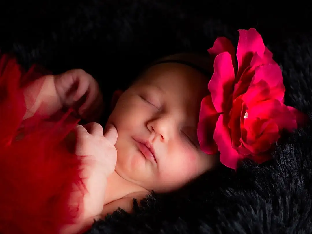 Joue, Peau, Head, Lip, Hand, Eyebrow, Yeux, Mouth, Eyelash, Plante, Petal, Flash Photography, Textile, Neck, Baby, Gesture, Rose, Headgear, Nail, Baby & Toddler Clothing, Personne, Headwear