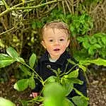 Visage, Hair, Head, Sourire, Yeux, Plante, People In Nature, Natural Environment, Happy, Iris, Bois, Herbe, Terrestrial Plant, Baby, Woody Plant, Bambin, Baby & Toddler Clothing, Natural Landscape, Arbre, Leisure, Personne