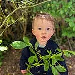 Visage, Yeux, Plante, Leaf, People In Nature, Natural Environment, Botany, Branch, Baby & Toddler Clothing, Happy, Iris, Baby, Bambin, Herbe, Woody Plant, Terrestrial Plant, Twig, Arbre, Bois, Sourire, Personne, Surprise