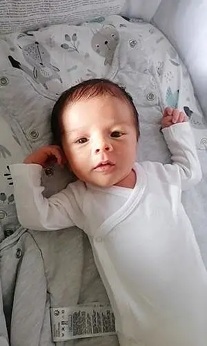 Prénom bébé Enzo