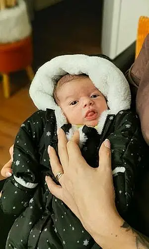 Prénom bébé Lohan