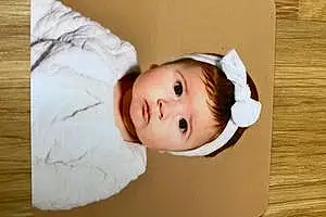 Prénom bébé Elyna