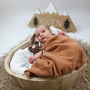 Prénom bébé Owen