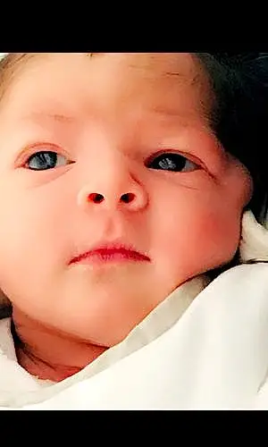Prénom bébé Lïvia