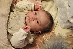 Prénom bébé Malika